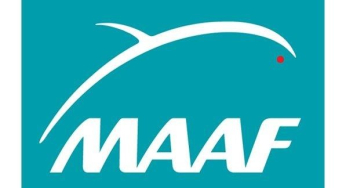 MAAF ASSURANCES
