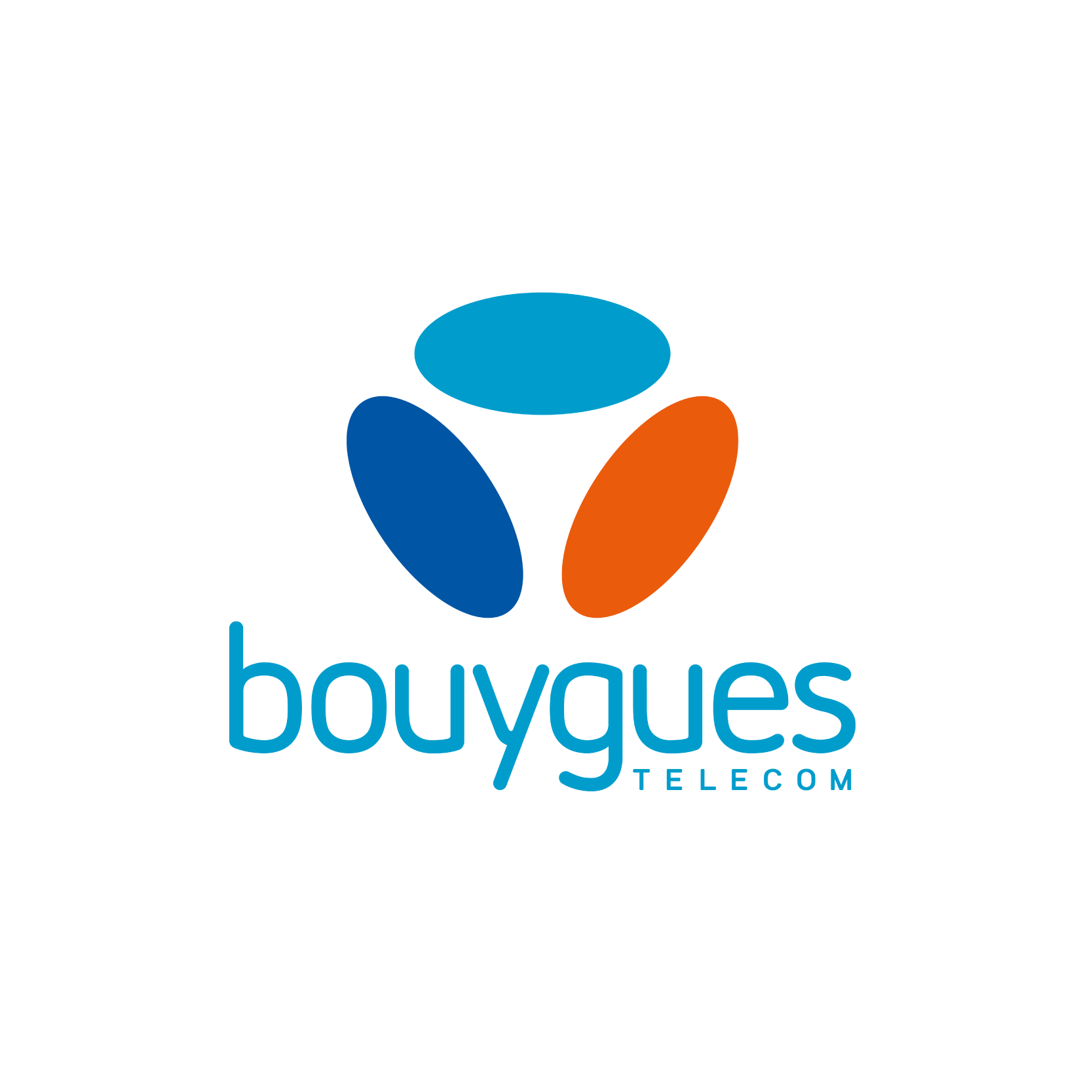 BOUYGUES TELECOM
